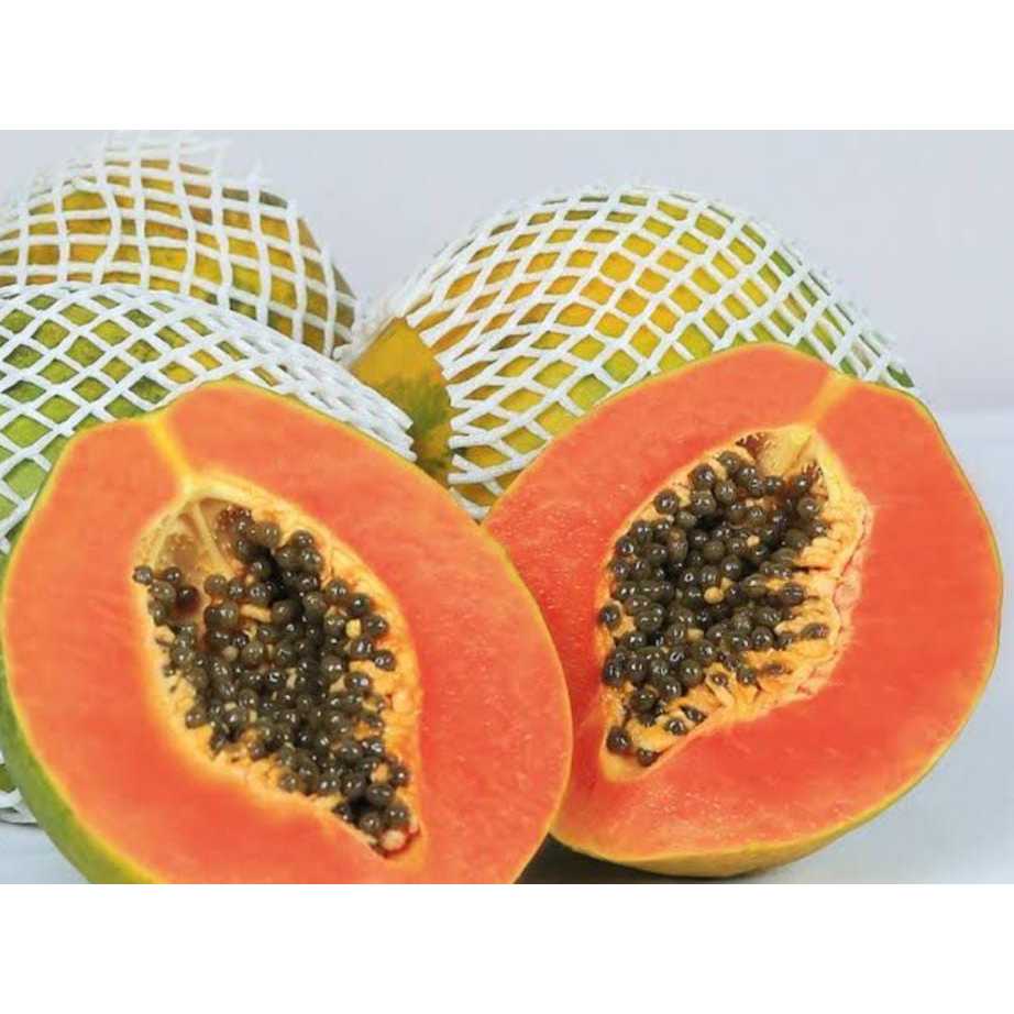 

Pepaya Hawai 1 buah
