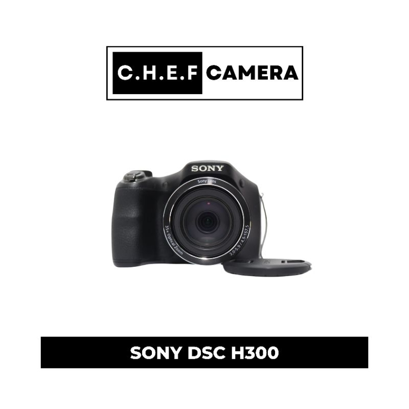 SONY DSC H300