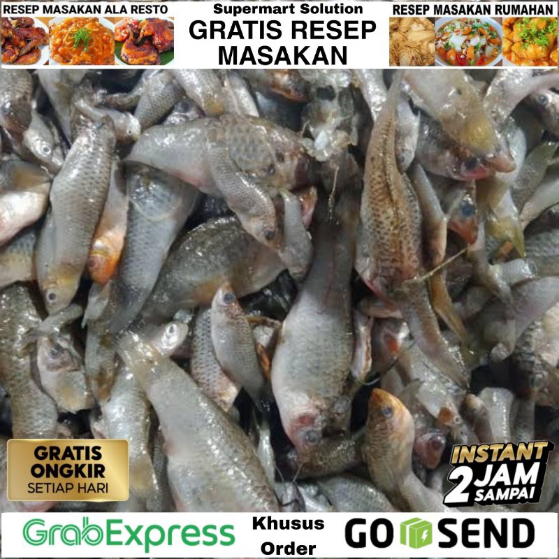 

Ikan Impun / Ikan Cere / Anak Ikan Burayak