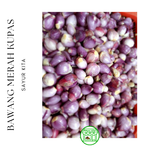 

Bawang Merah Kupas 250 gram