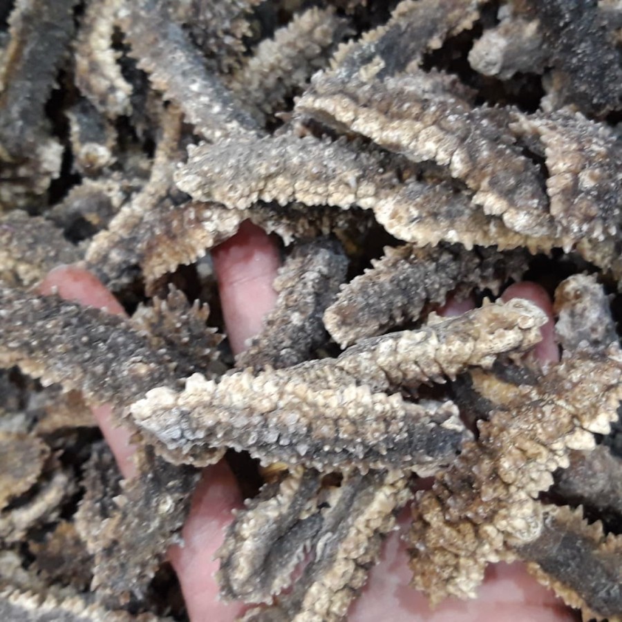 

Haisom Duri Paket 500 gram