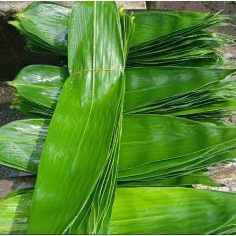 

Daun Bambu segar ,Bungkus bakcang
