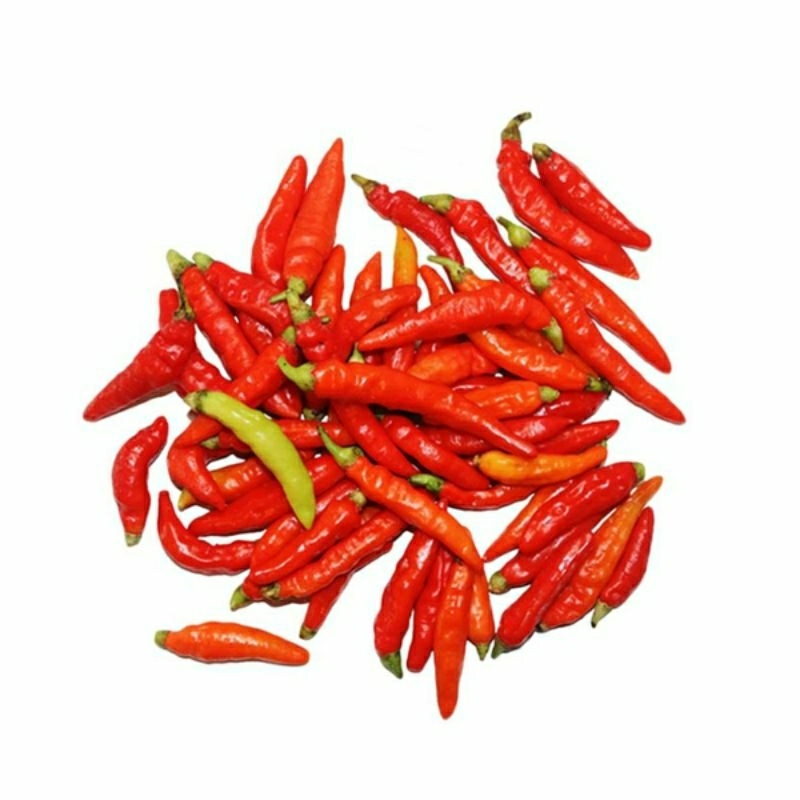 

Promo Cabe Rawit Merah/Setan Super Berkualitas Bagus