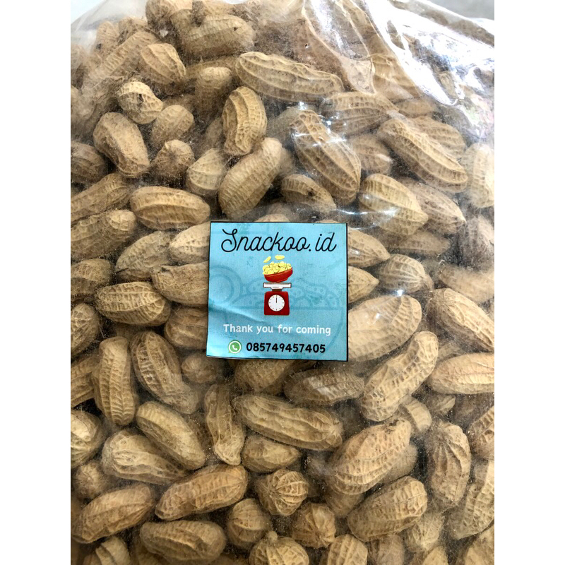 

kacang asin