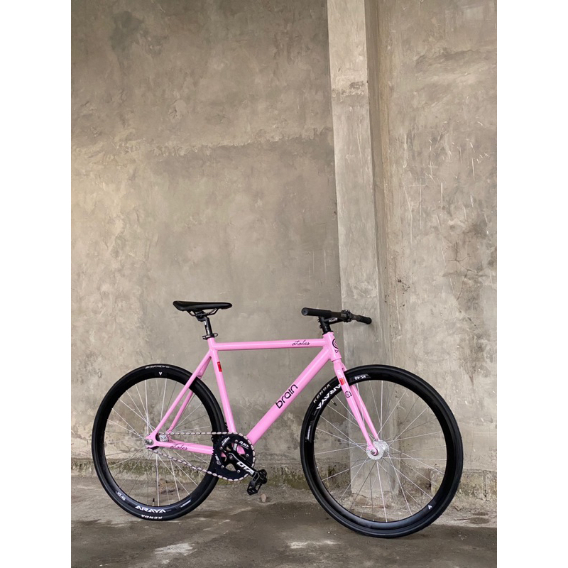 frameset brain atales