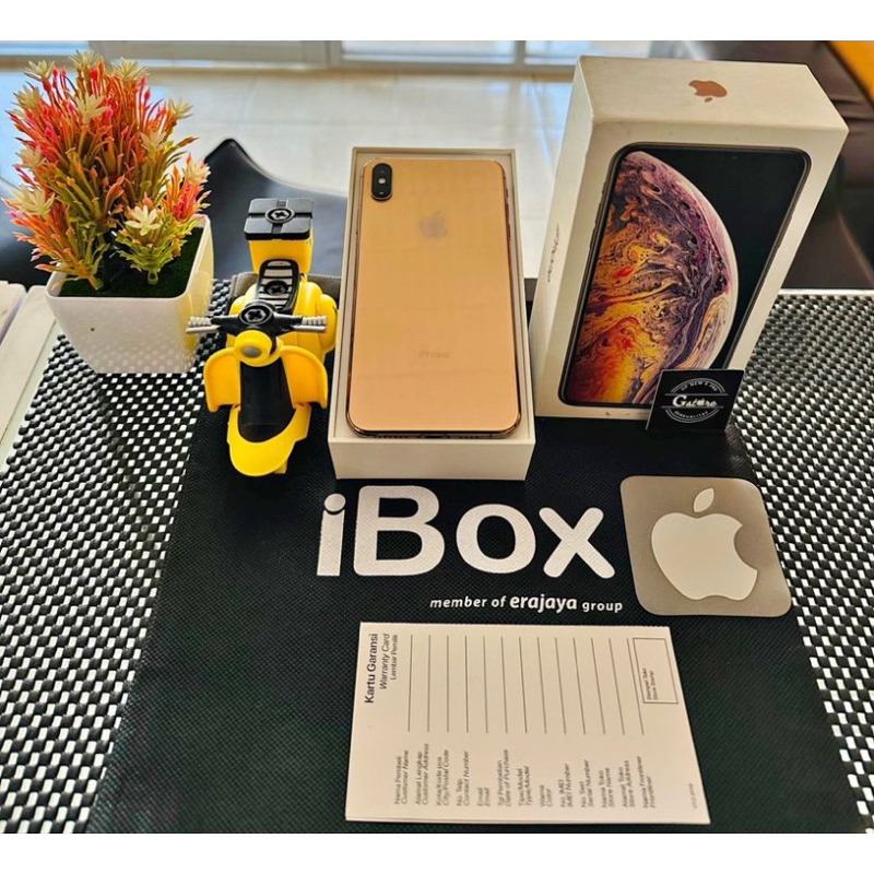iPhone Xs Max imei Regist permanen