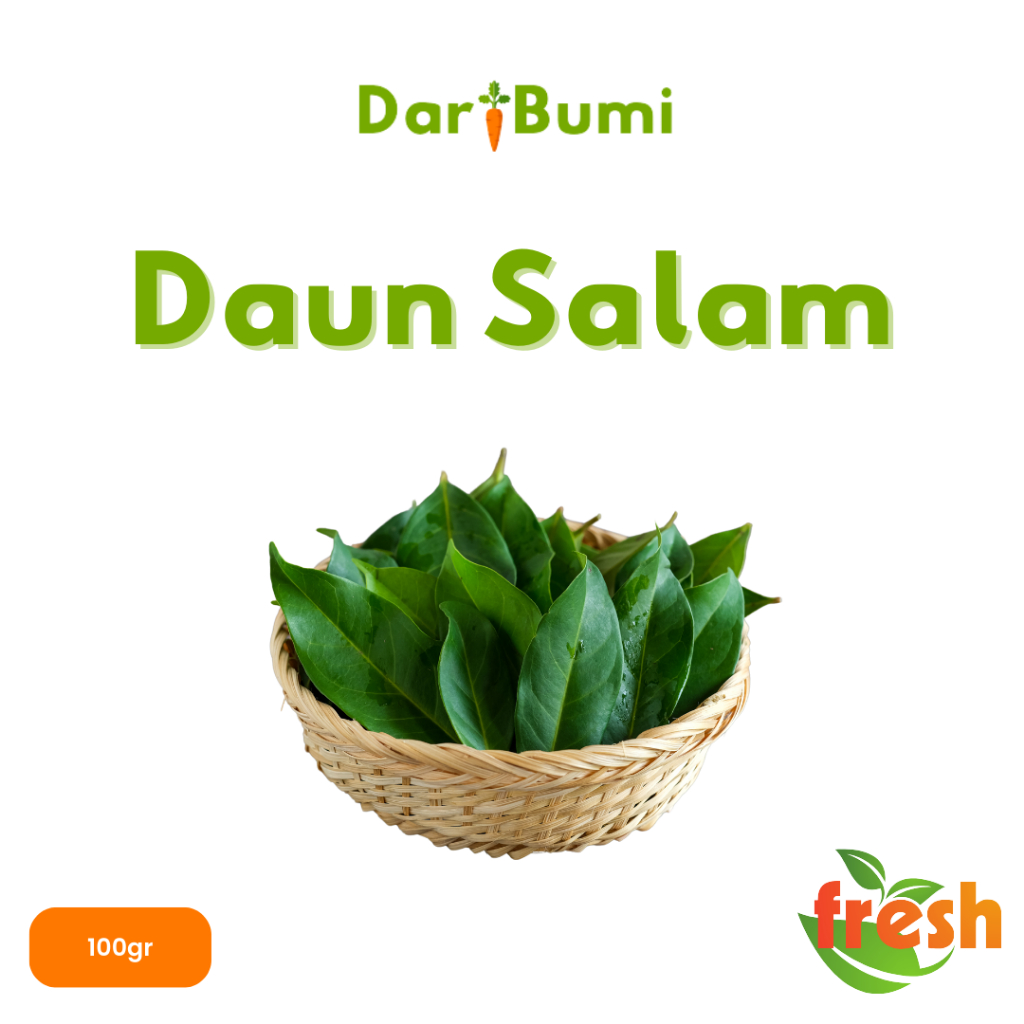 

rempah rempah daun salam bumbu dapur