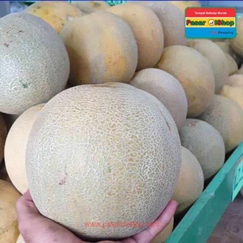 

PROMO!! MURAH BUAH MELLON MADU SUPER MANIS 1KG LEBIH