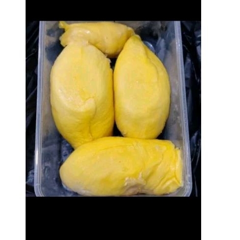 

PROMO!! DURIAN MONTONG PALU SULAWESI 500 GRAM // DURIAN MONTONG KUPAS PALU SULAWESI LEZAT