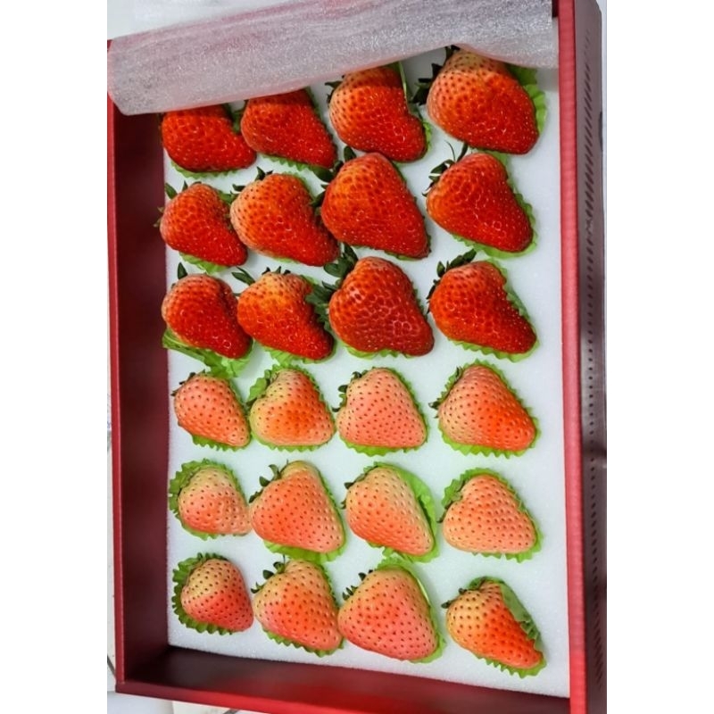 

Strawberry RRC MIX Red & Pink Box