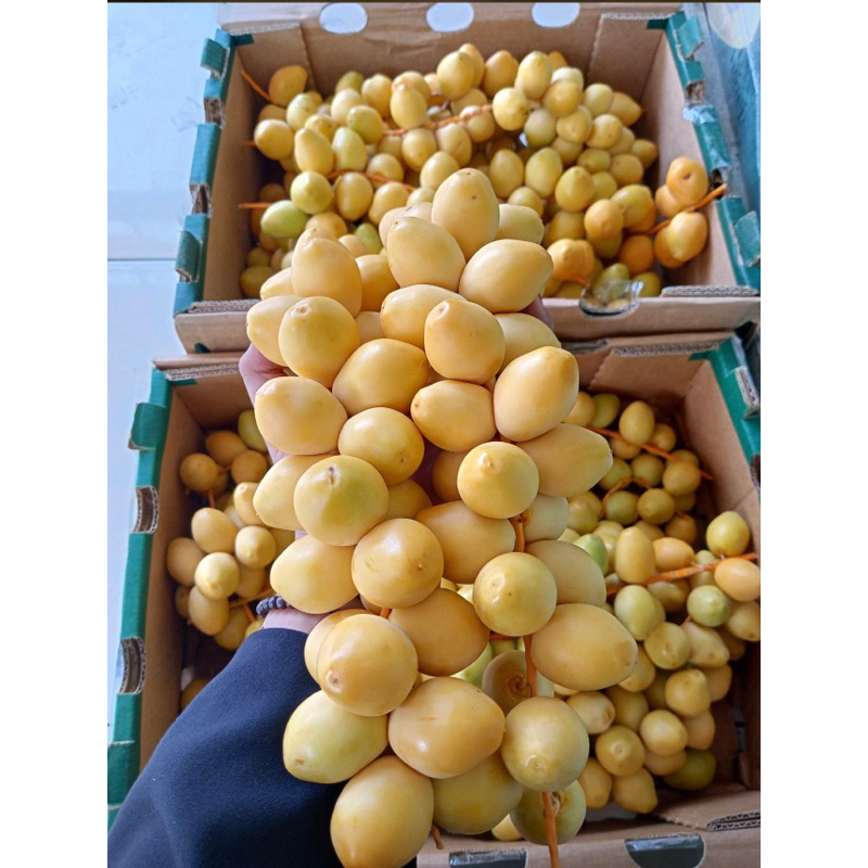 

Kurma Muda Ruthob Barhi Besar 1kg Madinah Saudi Manis Fresh frozen