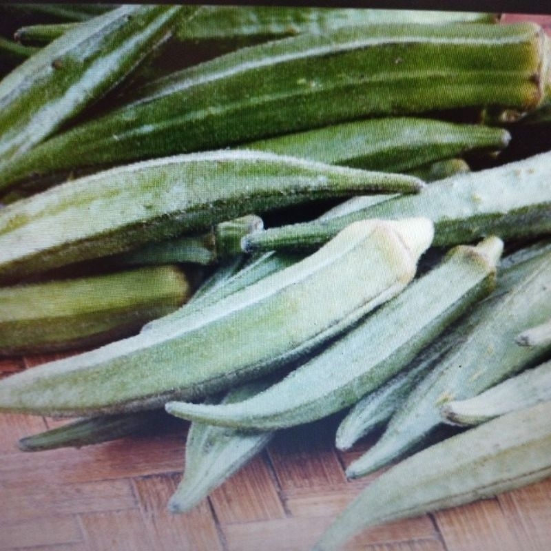 

okra segar
