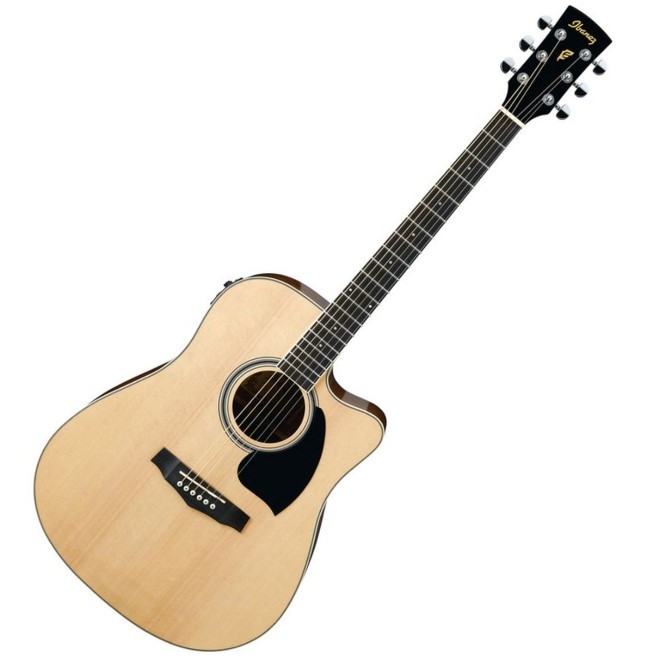 GITAR AKUSTIK IBANES TUNNER