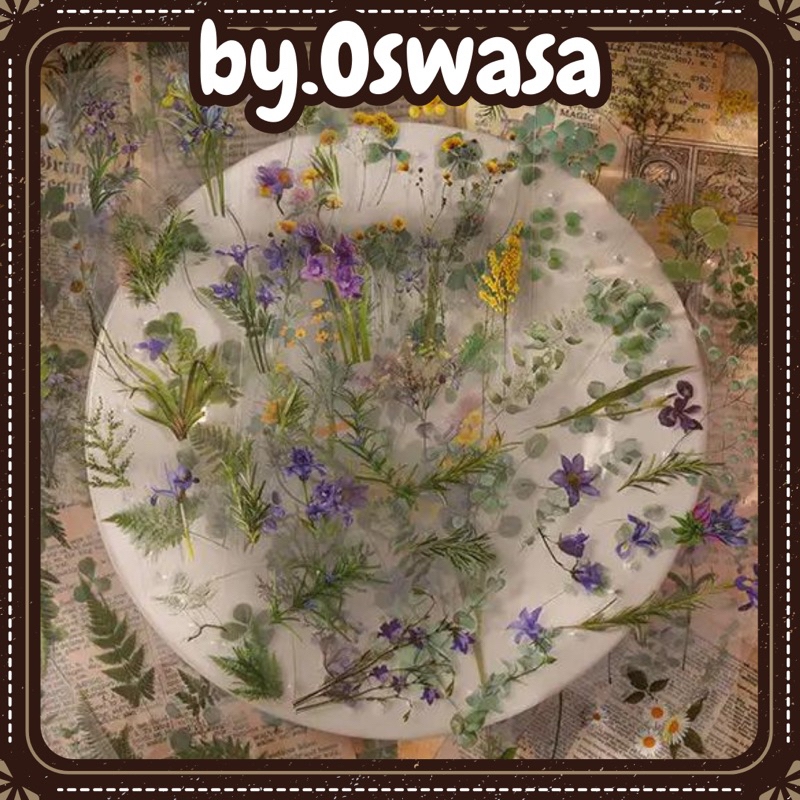 

ECER (SATUAN) Sticker PET Flowers Sticker Journal Tema Bunga dan Daun Aesthetic Retro Vintage Transparan