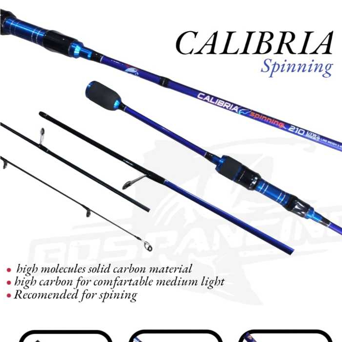 Joran Mollucan Calibria 195/210 -Spinning Road