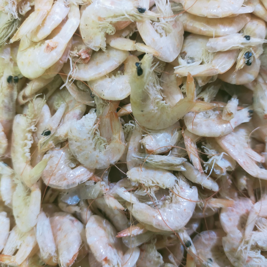 

Udang Manis asli Medan