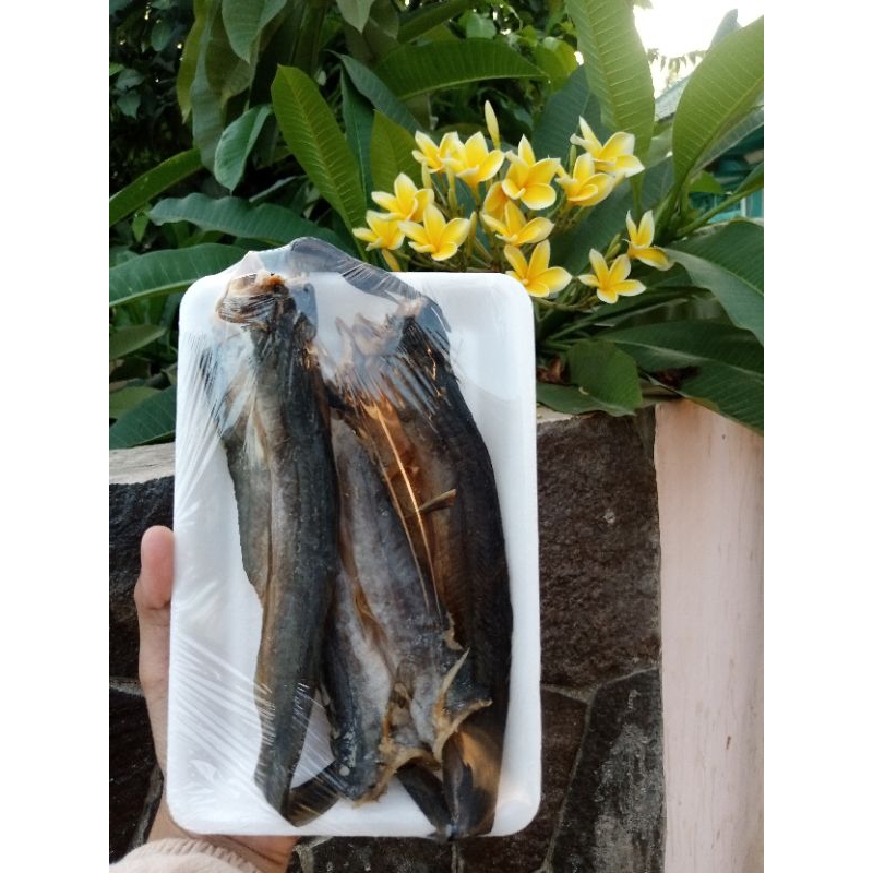 

ikan asin sumbilang