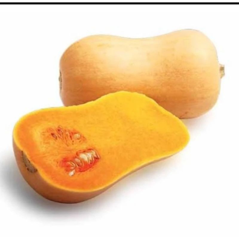 

Labu Madu Butternut Pumkin Squash Promo TERMURAH -1 PCS