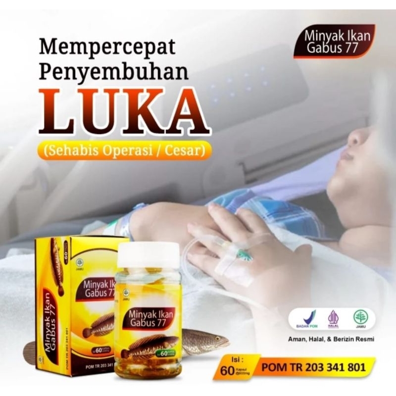 MINYAK IKAN GABUS 77 DARUSYIFA ISI 60KAPSUL