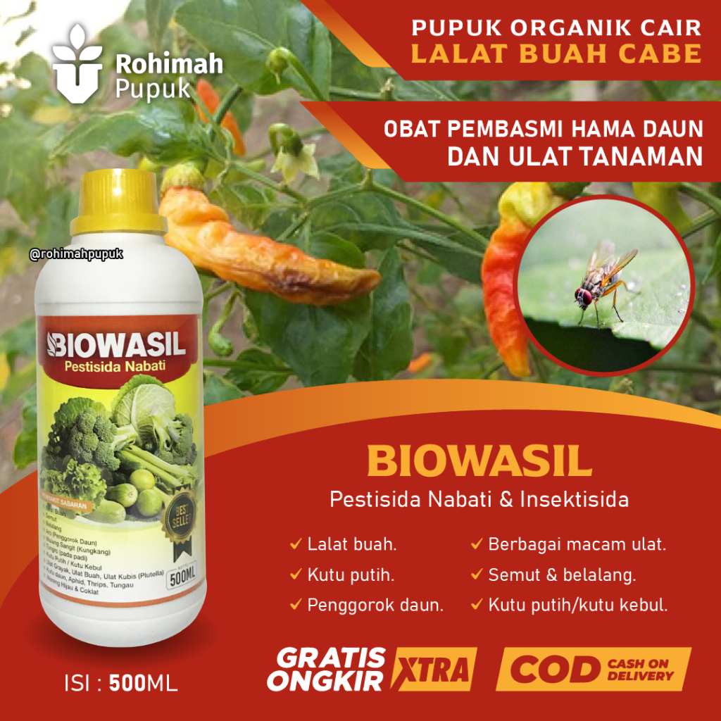 (TERLARIS) BIOWASIL Obat Hama Lalat Buah Cabe Terbaik, Pupuk Semprot Atasi Hama Lalat Buah Tanaman C