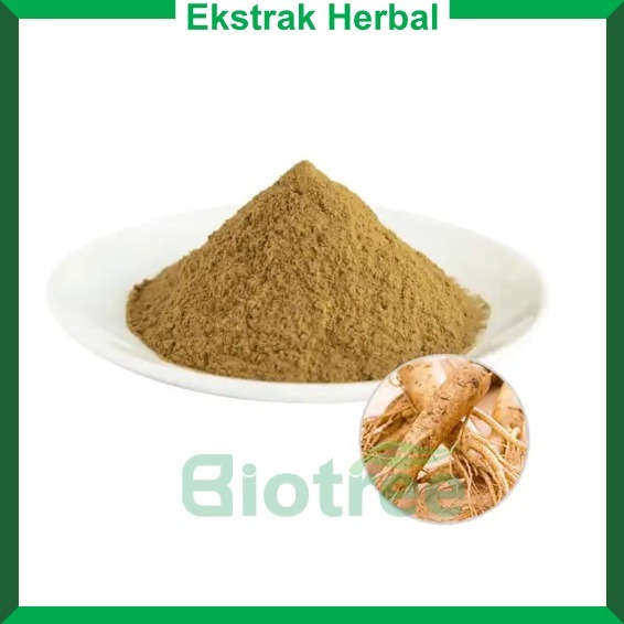 

Ekstrak Akar Ginseng Ginsenoside 10% - 25 kg