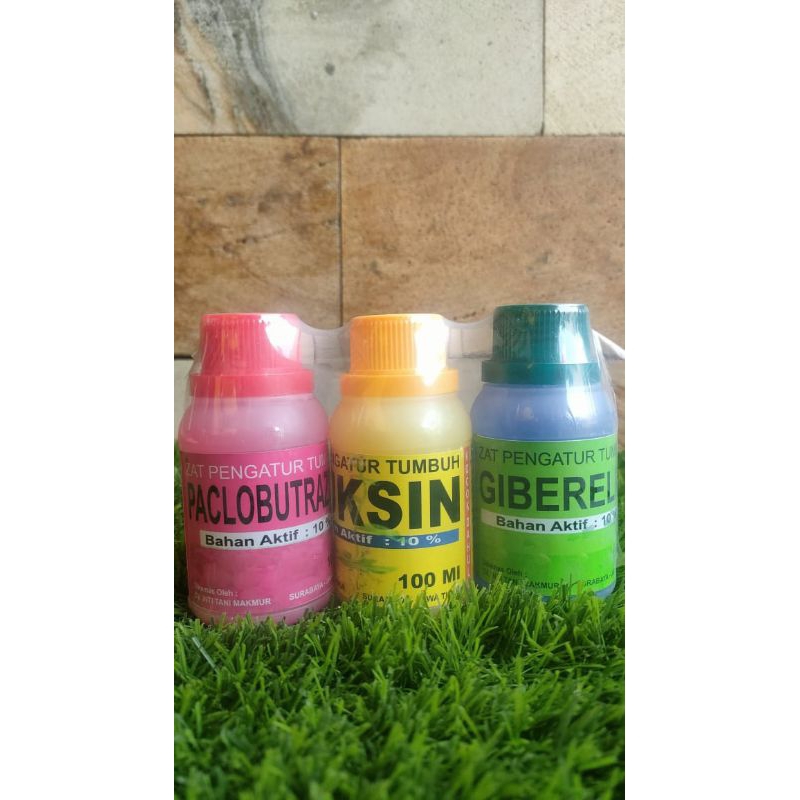 Paket Komplit 3 hormon tanaman AUKSIN,GIBERELIN,PACLOBUTRAZOL murni