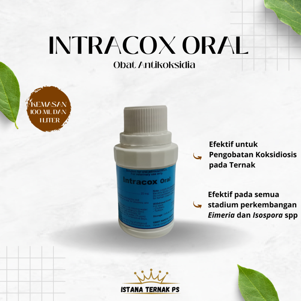 Intracox Oral 100 ml. Obat Koksi Mencret pada Ternak