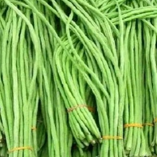 

kacang panjang 500gr