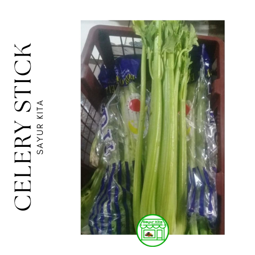 

Celery Stick / Seledri Stik Impor 1 kg
