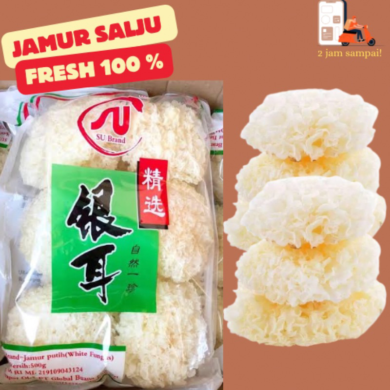 

Jamur Salju Jamur Putih White Fungus Su Yin Er 500 Gram Fresh KIRIM INSTAN BANDUNG