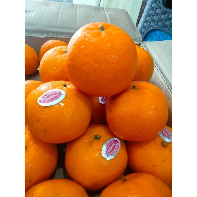 

Buah Segar