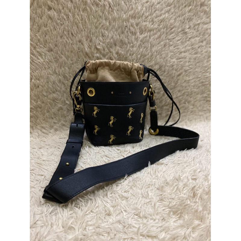 Chloe Roy bucket horse