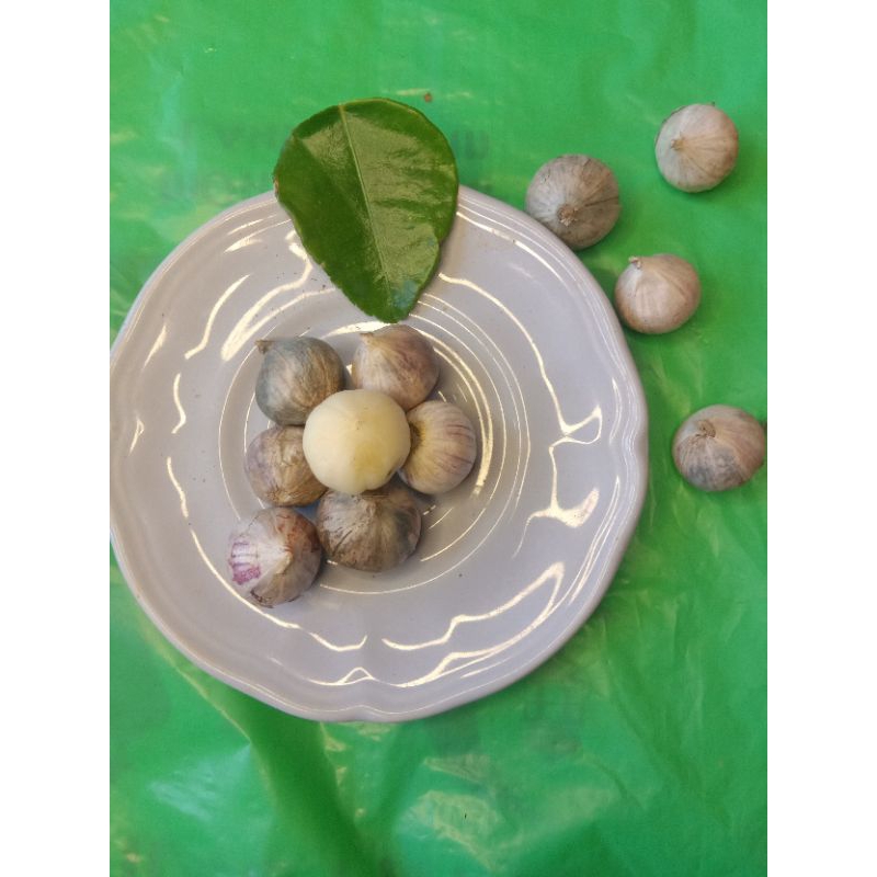 

BAWANG TUNGGAL BAWANG LANANG BAWANG PUTIH TUNGGAL ASLI ISI 100 GRAM