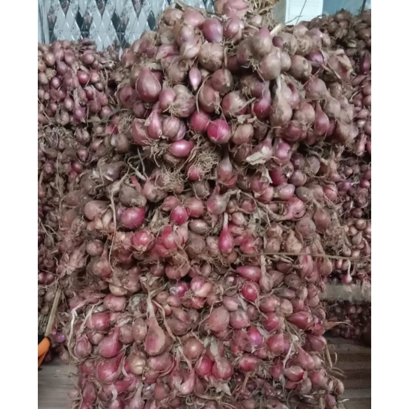 

bawang merah tanggung kecil protolan 1000gr