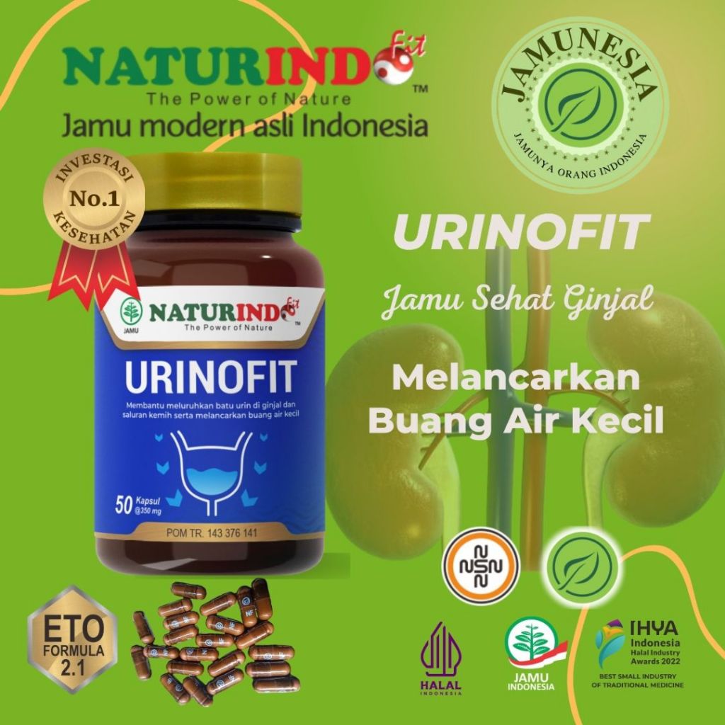 Obat Infeksi Saluran Kencing Kemih Pria Wanita Obat Anyang Anyangen Kencing Beser Nanah Batu Ginjal 