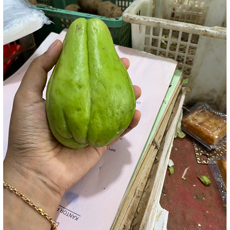 

sayur labu