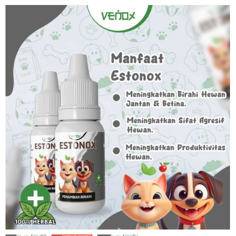 OBAT PERANGSANG BIRAHI KUCING ANJING / BETINA & JANTAN / AMPUH