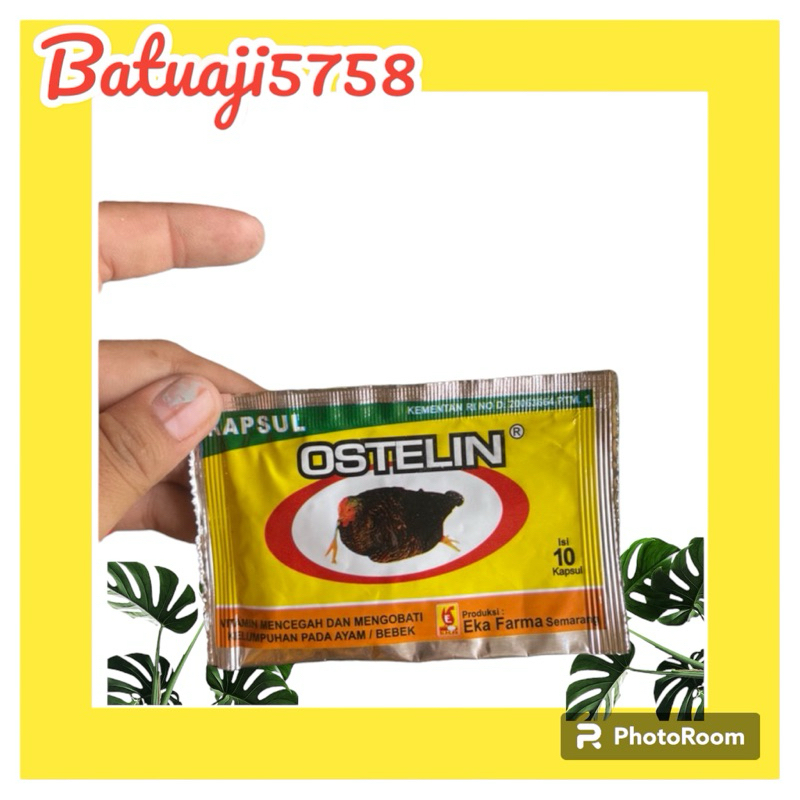 Ostelin 10 Kapsul Mencegah Kelumpuhan