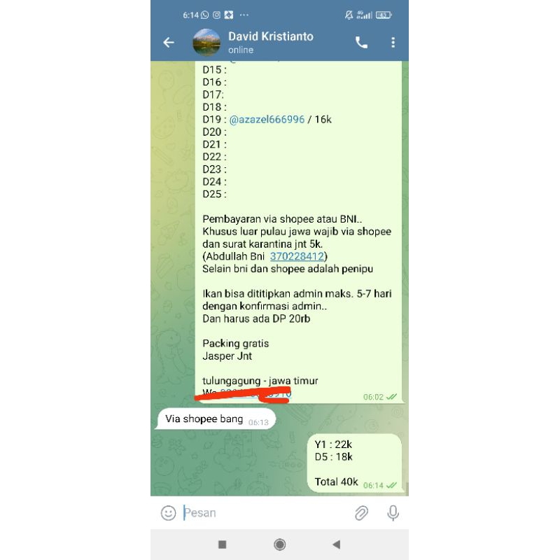 2 cupang kualitas bagus