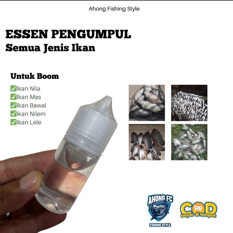 Essen Pengumpul Ikan Di Lapak Essen Pengumpul Semua Jenis Ikan Essen Pengumpul Ikan Mas Nila Bawal L