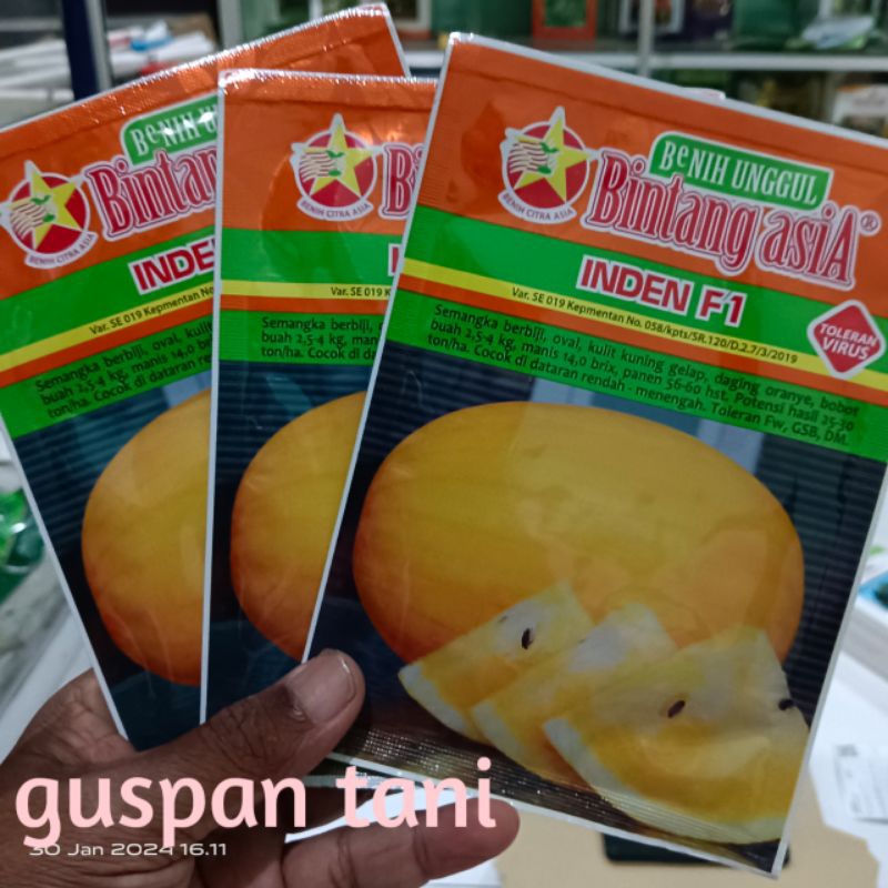 INDEN F1 bibit semangka original