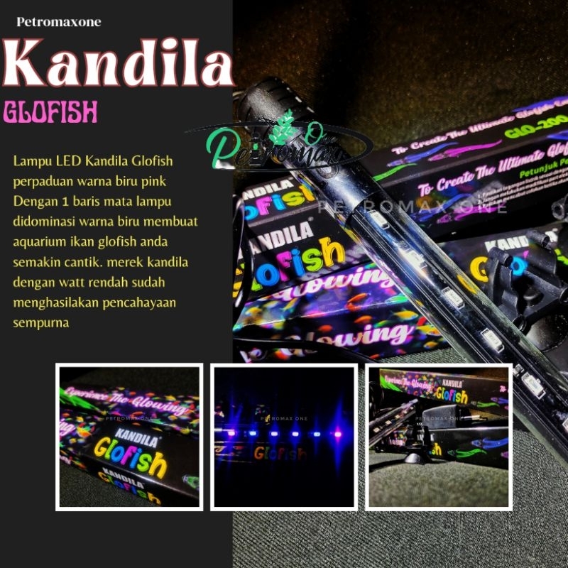 LAMPU CELUP KANDILA GLOFISH LAMPU LED IKAN GLOFISH