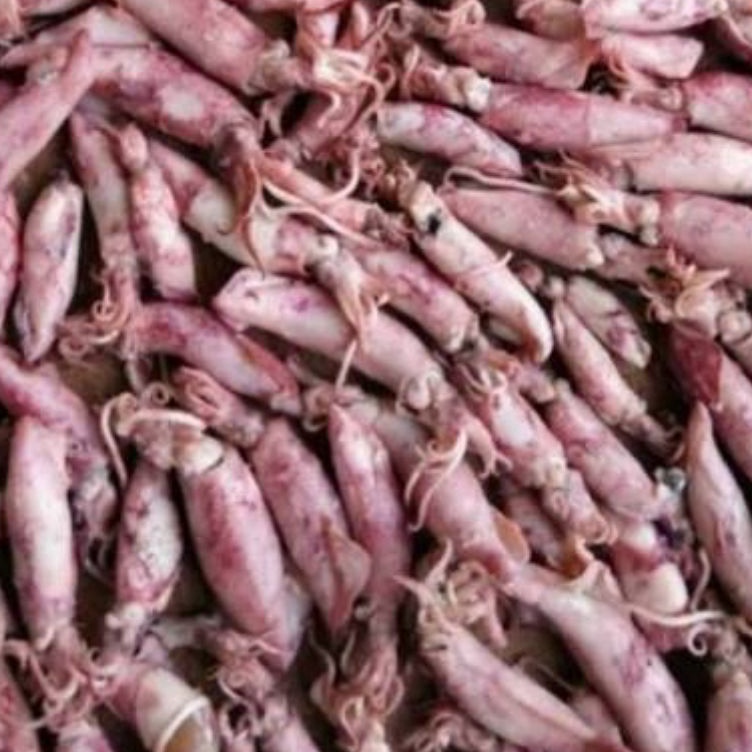 

Sedia Disini Cumi Asin Kering nagaexspress
