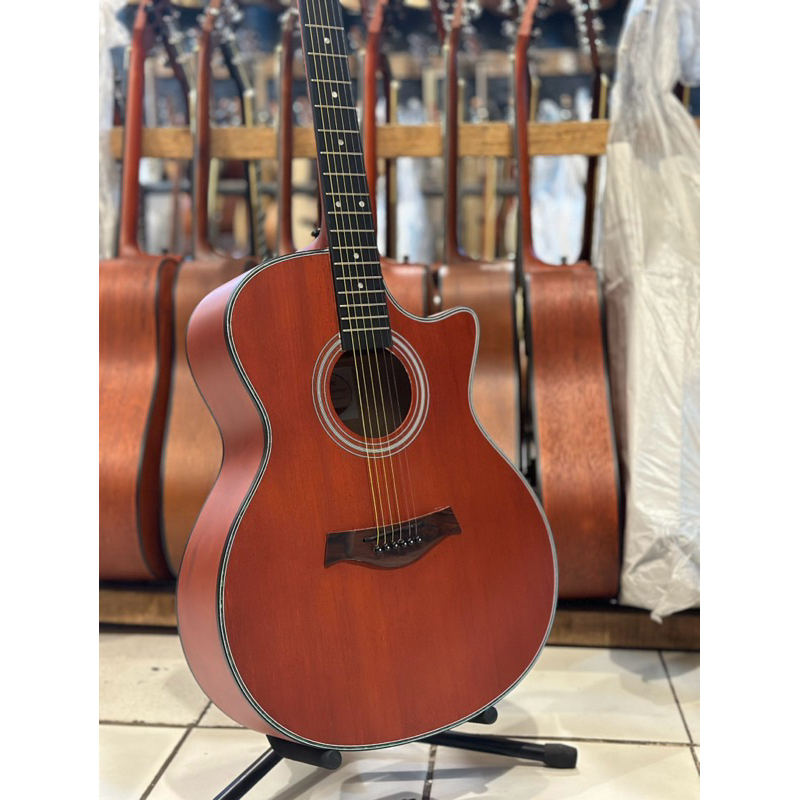 Gitar Difergio Akustik & akustik elektrik original