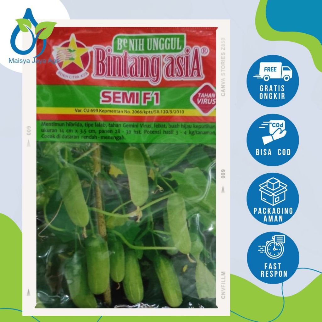 Bibit Timun Lalap SEMI F1 20Gram Original Bintang Asia