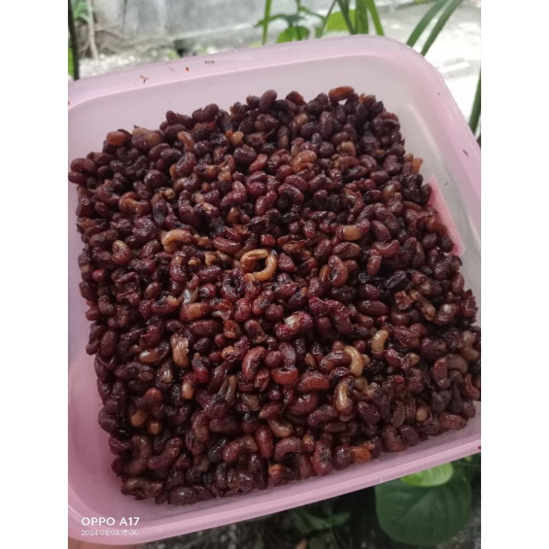 

kacang merah goreng original