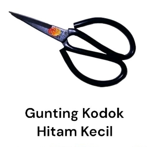 

Gunting Kodok Hitam Kecil