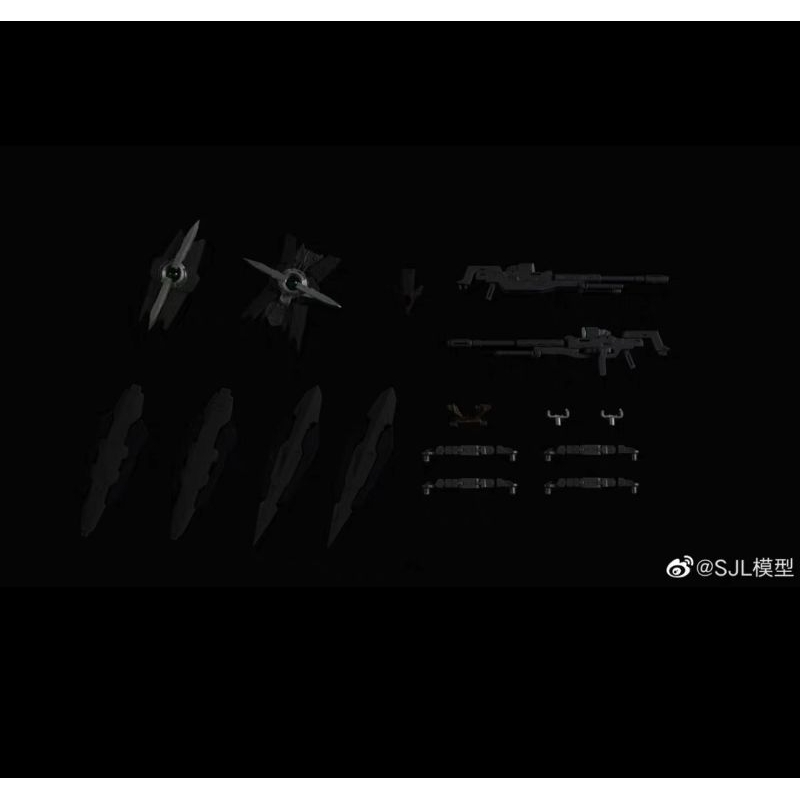 SJL Astraea Type X Gundam for MG 1/100