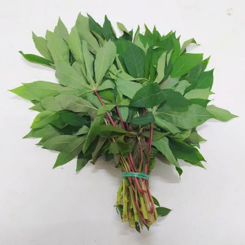 

Daun Singkong per 1 ikat