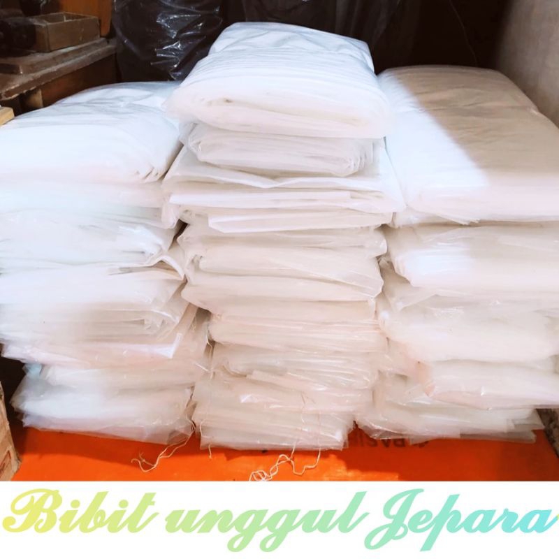 PLASTIK UV GREEN HOUSE 200 MICRON 4x4M